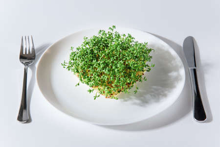 Fresh sprouts of cress on white plate and cutlery on sides on white background. Growing microgreens at home. Healthy eating conceptの写真素材