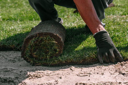 Professional stacking of fresh rolled grass. Gardener's hands in gardening gloves laying turf making new lawnの写真素材