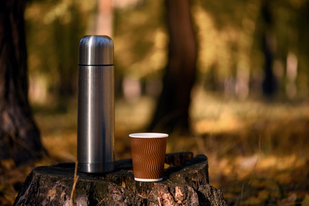 Thermos and disposable paper coffee cup on old tree stump in calm autumn forestの写真素材