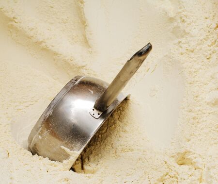 Wheat Powder with Metal Scoopの写真素材