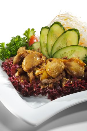 Japanese Cuisine - Pork with Onion and Mushrooms. Garnished with Salad, Fresh Vegetables and Parsleyの写真素材