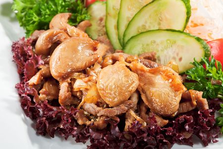 Japanese Cuisine - Pork with Onion and Mushrooms. Garnished with Salad, Fresh Vegetables and Parsleyの写真素材