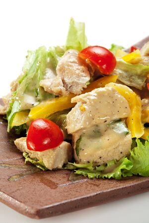 Japanese Cuisine - Salad made of Chicken Breast, Salad Leaf, Cherry Tomato and Sweet Pepper. Garnished with Garlic Sauceの写真素材