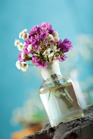 Little FLower Bunchの写真素材