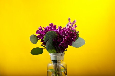 Little Flower Bunch over Yellowの写真素材