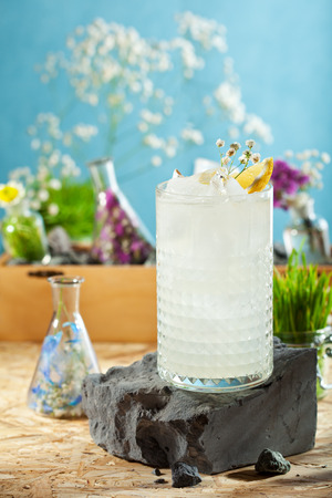 Vodka and Ginger Cocktail. Garnished with Lemonの写真素材