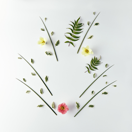 Nature Minimal Concept - Creative layout made of green leaves and flowers with copy space. Flat Layの写真素材