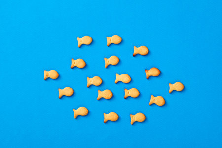 Salted fish cracker abstract creative layout.の写真素材