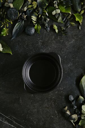 Exquisite serving black bowl template on natural dark stone and leavesの写真素材