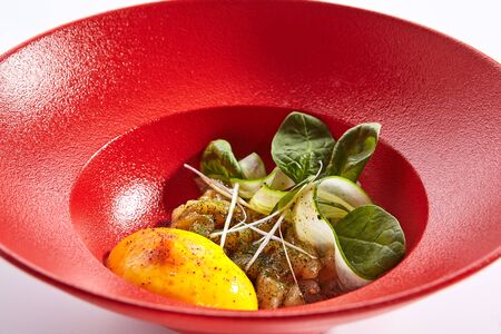 Eel Tartar sauce and passion fruit mousse closeup. French dish isolated on white background. Prepared restaurant gourmet meal concept. France traditional cuisine. Served food compositionの写真素材