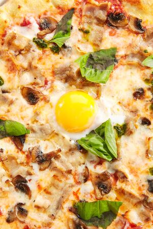 Pizza with mushrooms, bacon and egg on white restaurant plate isolated. Italian carbonara pizza with mushrooms, tomatoes and fresh green basil top viewの写真素材