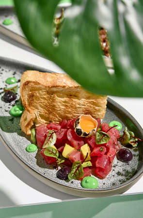 Tuna tartar with quail egg and toast bread. Raw fish tartare restaurant appetizer on white table with green wall. Day sunlight with hard shadow of monstera palm leaves. Summer or spring food conceptの写真素材