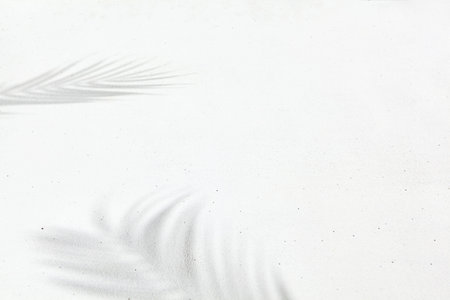 White background with palm leaf and shadow of palm leaf. Minimal abstract composition - concrete...