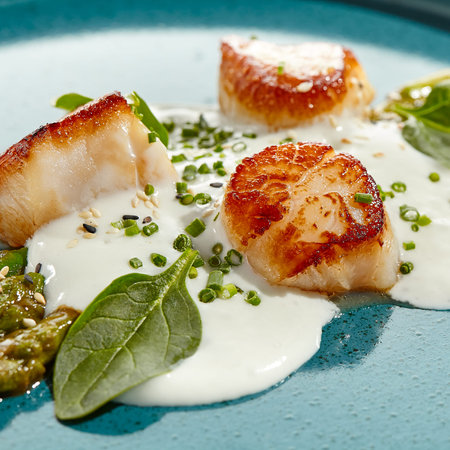 Luxury dish - grilled scallops with asparagus and creamy espuma. Roasted scallop with cream sauce and asparagus on white background. Delicacy seafood in restaurant menu - sea scallopの写真素材