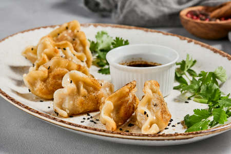 Oriental food - fried gyoza with sauce. Gyoza with pork in ceramic plate on gray concrete background. Shrimp gyoza in minimal style. Aesthetic food menuの写真素材