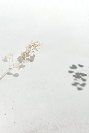 White banner with flowers and shadow. Minimal light backdrop. Composition with light flowers and...
