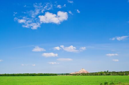 green field and sunny dayの写真素材
