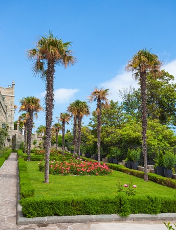 Fine tropical garden with palm trees and flowers.のeditorial素材