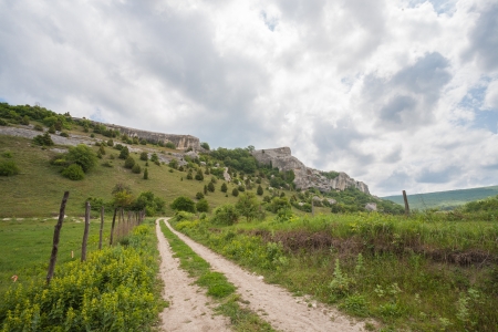 A country road passing trough green spring meadowsの写真素材