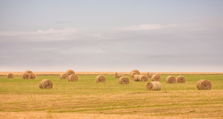 harvested field with straw bales in summerの写真素材