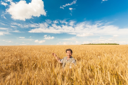 farmer standing in a wheat field, looking at the cropの写真素材