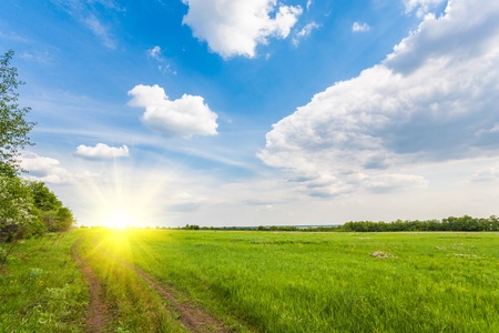 Summer landscape with green grass, road and cloudsの写真素材