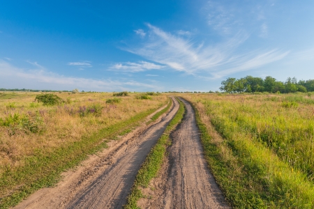Summer landscape with green grass, road and cloudsの写真素材