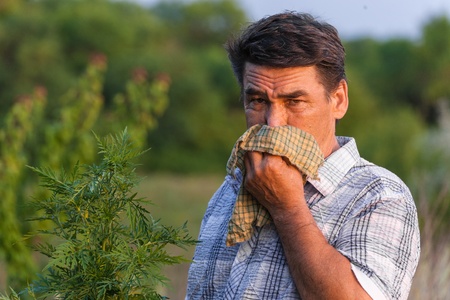 man in field blowing his nose and suffering from hay fever の写真素材