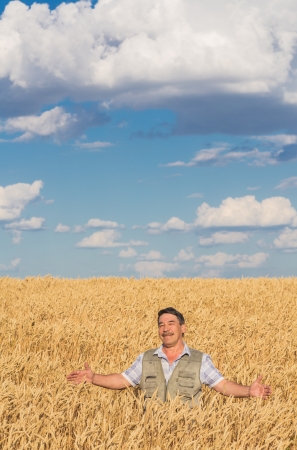 farmer standing in a wheat field, looking at the cropの写真素材
