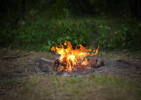 Camp fire beside lake and mountains.の写真素材