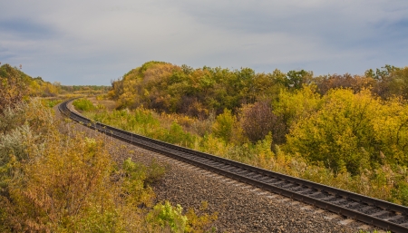 Train track covered with fallen leaves in autumnの写真素材