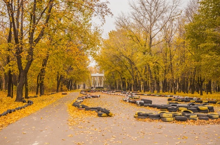 Pathway in the forest at autumnの写真素材
