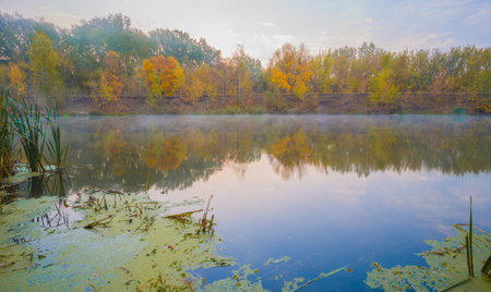 The autumn wood on the river bank, shined with the sun, fog over water, outdoorsの写真素材
