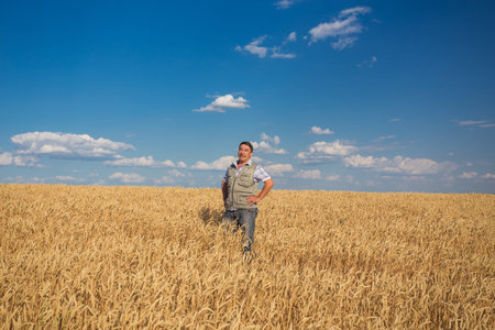 Happy smiling caucasian  old farmer standing in wheat fieldsの写真素材