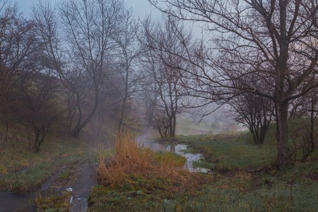 Misty morning on the river in early springの写真素材