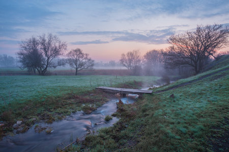 Misty morning on the river in early springの写真素材