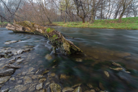 log resting on the rocky shore of a babbling river.