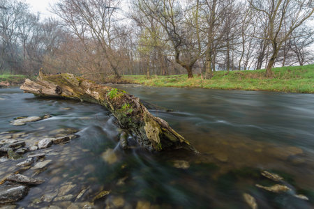 log resting on the rocky shore of a babbling river.