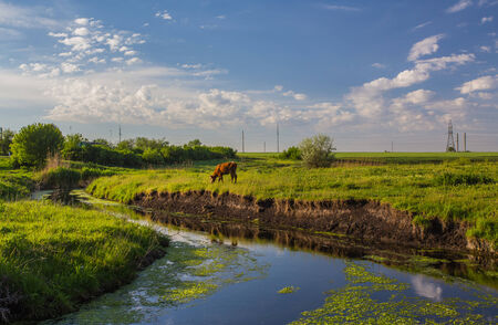green grass, river and cloudsの写真素材