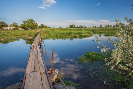 Summer Landscapeの写真素材