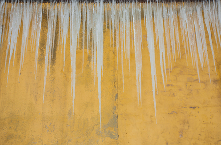 Long Iciclesの写真素材