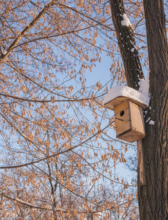 Nesting box under snow