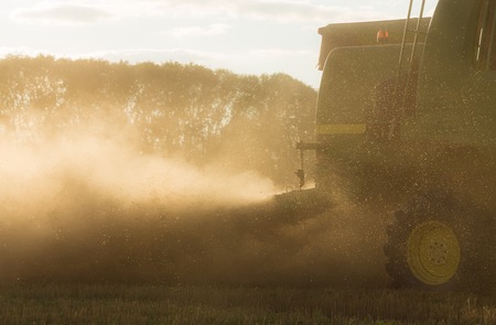 Harvesting combine in the field cropping cereal fieldの写真素材