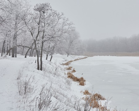 Beautiful winter landscape with snow covered treesの写真素材
