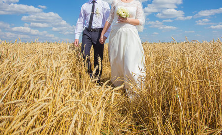 young beautiful wedding couple hugging in a field with grass eared.の写真素材