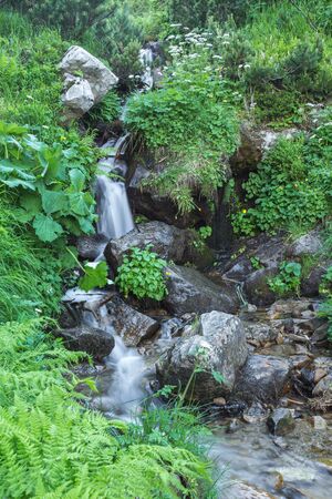 nice beautiful mountain stream with green stonesの写真素材