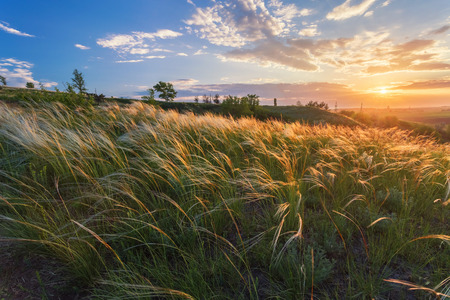 Sunrise in Ukrainian steppe. The National Park Dvurechanskiy , Kharkiv region, Ukraine.の写真素材