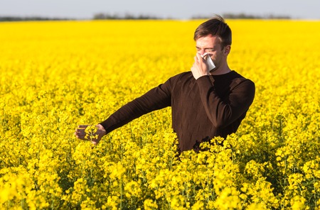 Young man in yellow canola field blowing his nose and suffering from pollen allergy.の写真素材
