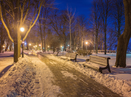 Winter night landscape- bench under winter trees and shining street lights under winter falling snowflakes. Colorful night scene with falling snow in the deserted night parkの写真素材