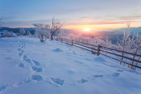 Beautiful winter landscape in the mountains. Sunriseの写真素材